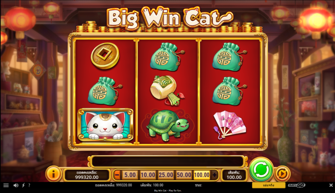จะชนะเงินจริงที่ Big Win CAT Slot Thai ได้อย่างไร